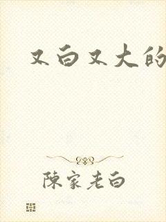 又白又大的奶子