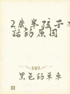 2岁半孩子不说话的原因