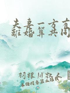 夫妻一方有贷款离婚算共同债务吗