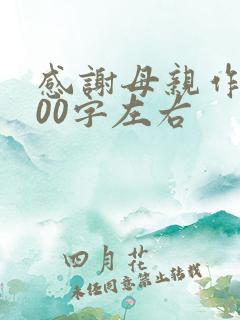 感谢母亲作文200字左右