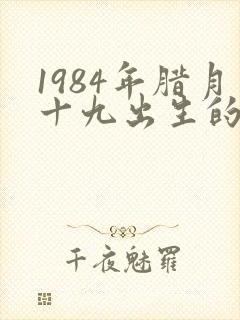 1984年腊月十九出生的鼠女命运