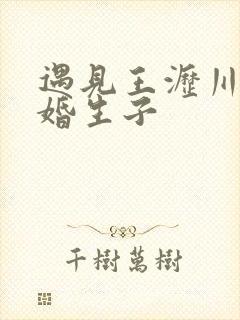 遇见王沥川续未婚生子