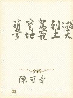 萌宝驾到:总裁爹地宠上天