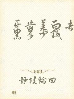 牙齿美白去黄去黑多少钱