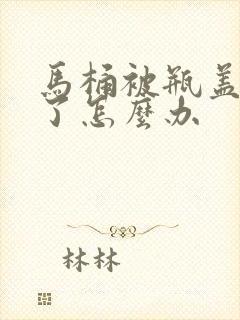 马桶被瓶盖堵住了怎么办