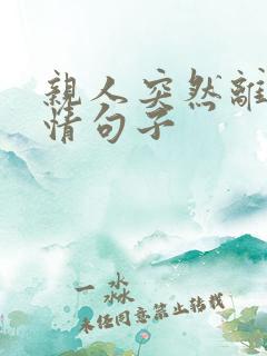 亲人突然离世心情句子