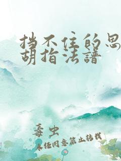 挡不住的思念二胡指法谱