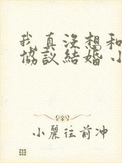 我真没想和大佬协议结婚 小说