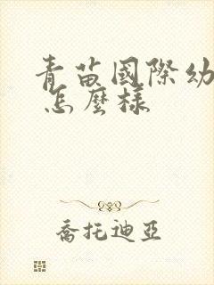 青苗国际幼儿园 怎么样