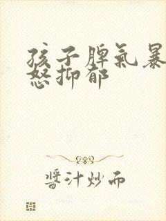 孩子脾气暴躁易怒抑郁