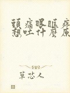 头痛眼眶疼恶心想吐什么原因