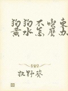 狗狗不吃东西吐黄水怎么办