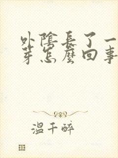 外阴长了一个肉芽怎么回事