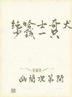 纯哈士奇犬狗多少钱一只