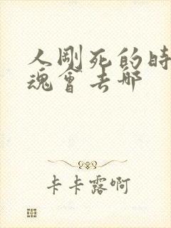 人刚死的时候灵魂会去哪