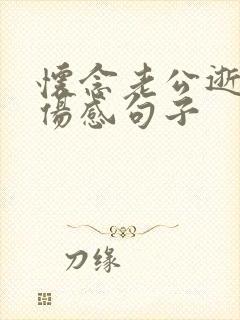 怀念老公逝世的伤感句子