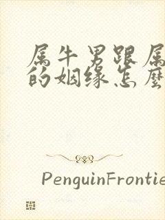 属牛男跟属蛇女的姻缘怎么样