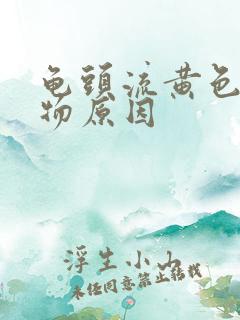 龟头流黄色分泌物原因