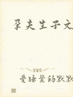 孕夫生子文