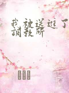 我被送进了私奴调教所