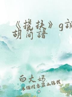 《搀扶》g调二胡简谱