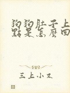 狗狗肚子上有斑点是怎么回事