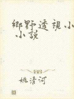 乡野透视小医圣 小说