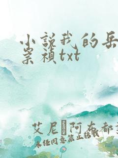 小说我的岳父是崇祯txt