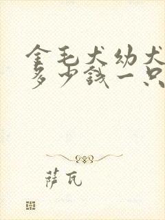 金毛犬幼犬价格多少钱一只