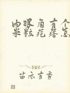 内眼角有个白色米粒疙瘩怎么回事