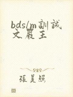 bds/m训诫文严主