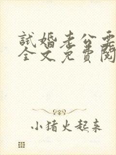 试婚老公要给力全文免费阅读