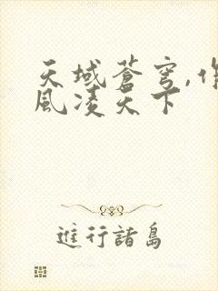 天域苍穹,作者风凌天下