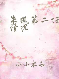 朱枫第二任丈夫情况