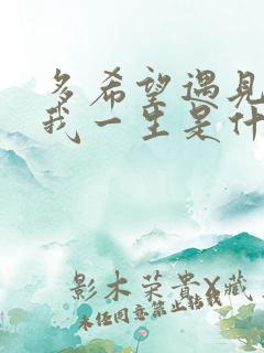 多希望遇见你是我一生是什么歌