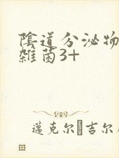 阴道分泌物检查杂菌3+