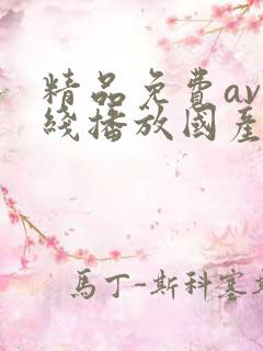 精品免费av在线播放国产