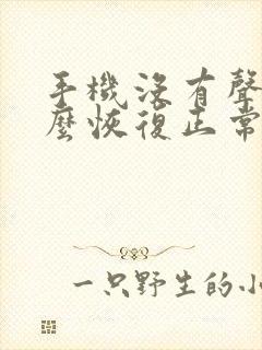 手机没有声音怎么恢复正常