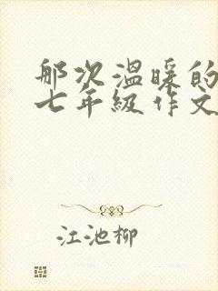 那次温暖的触动七年级作文