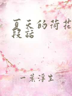 夏天的荷花写一段话