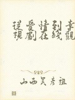 从爱情到幸福电视剧在线观看免费