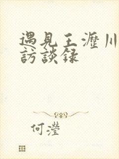 遇见王沥川导演访谈录