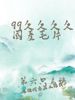 99久久久久久国产毛片