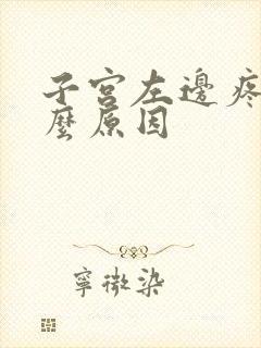 子宫左边疼痛什么原因