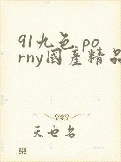 91九色 porny国产精品久久色
