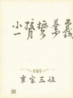 小孩抚养费标准一月多少钱2020年