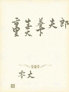 重生养夫郎 岛里天下