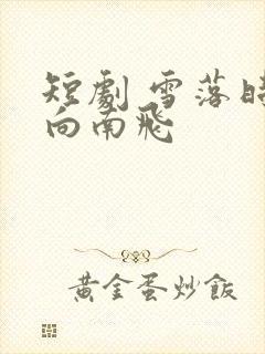 短剧 雪落时你向南飞