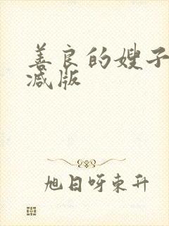 善良的嫂子无删减版