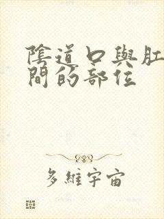 阴道口与肛门之间的部位